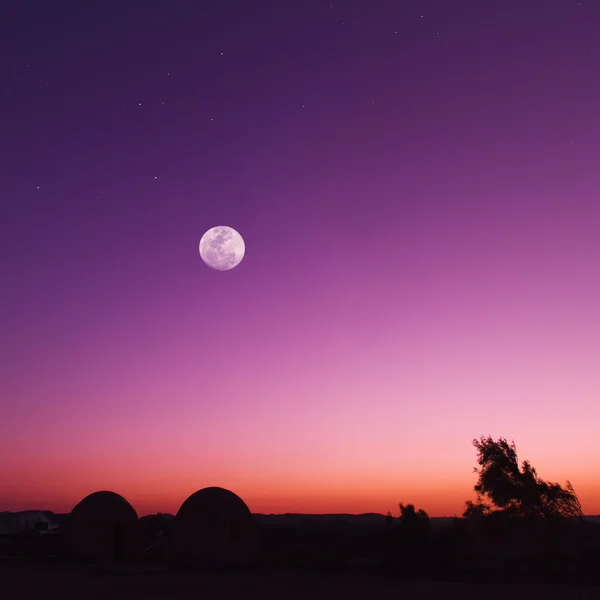 Полная луна ночь тропический Южный пейзаж с силуэтами — стоковое фото