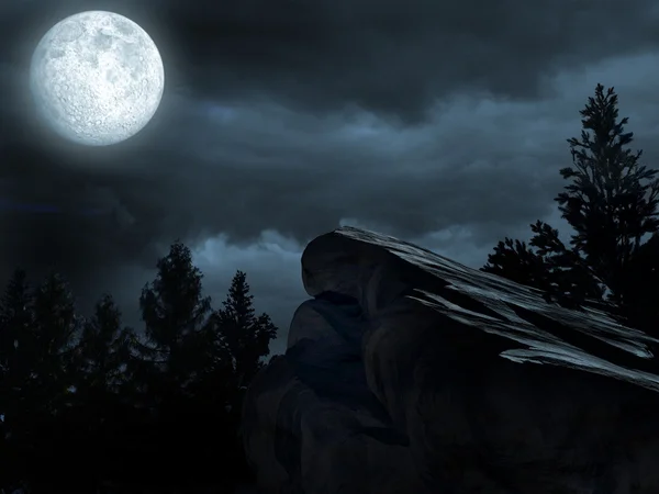 Луна над темный лес — стоковое фото