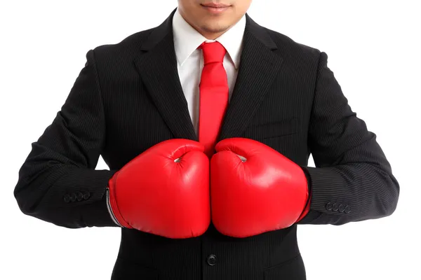 Бизнес боксер макро — стоковое фото
