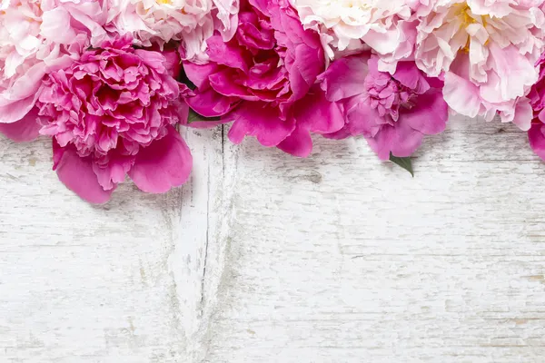 Потрясающие Розовые пионы на белом фоне деревенские деревянные. Скопируйте sp — стоковое фото