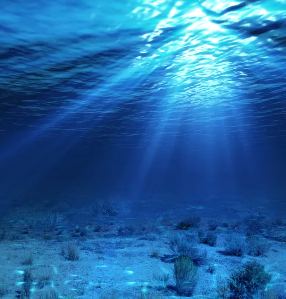 Подводный ландшафт и фоном с водорослями — стоковое фото