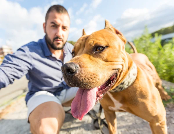 Человек с собакой в парке — стоковое фото