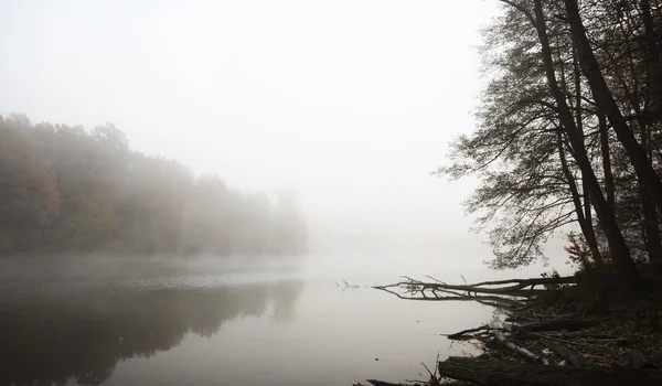 Туман осень озеро — стоковое фото
