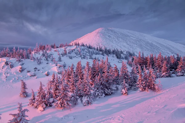 Зимние горы на рассвете — стоковое фото
