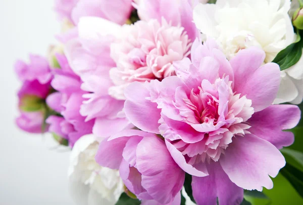 Красивый букет розовых и белых пионов — стоковое фото