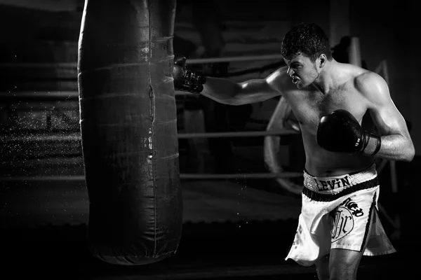 Тайский бокс Артем Левин в студии — стоковое фото