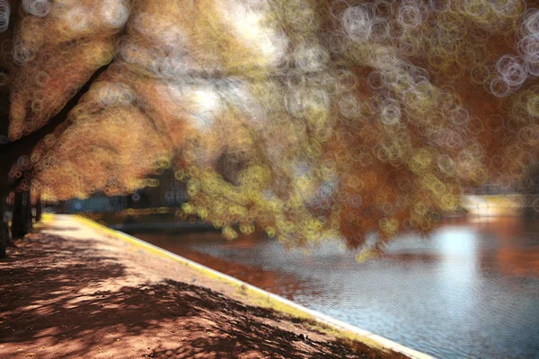 Деревья в осенний городской парк — стоковое фото