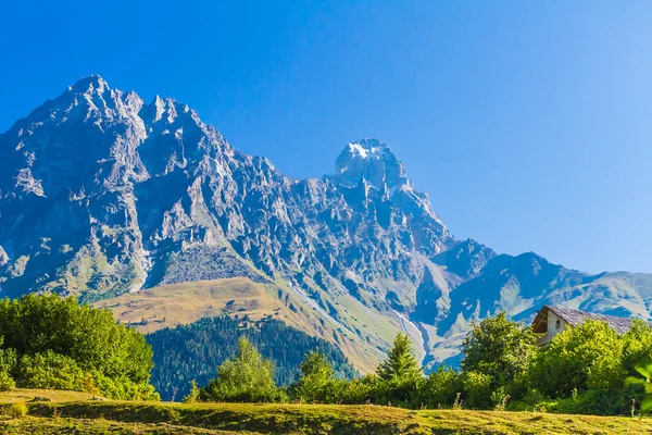 Красивый вид на альпийские луга. верхний svaneti, Джорджия, Европа — стоковое фото
