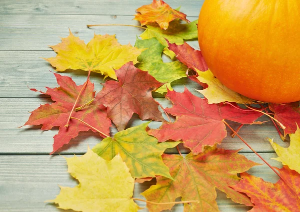 Оранжевая тыква и состав кленовых листьев Лицензионные Стоковые Фото