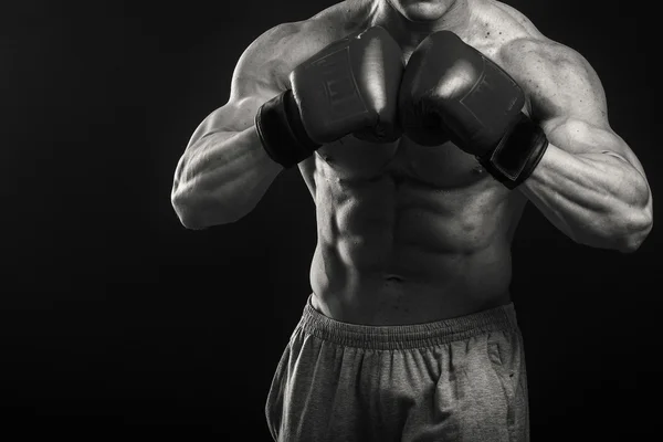 Красивый сильный боксер — стоковое фото