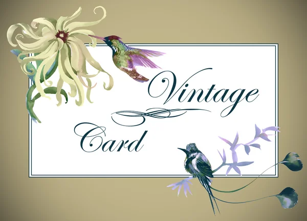 Vintage floral card with tropical birds — стоковое фото