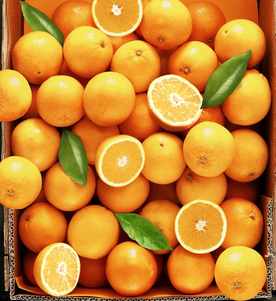 Сладкие свежие и сочные апельсины — стоковое фото