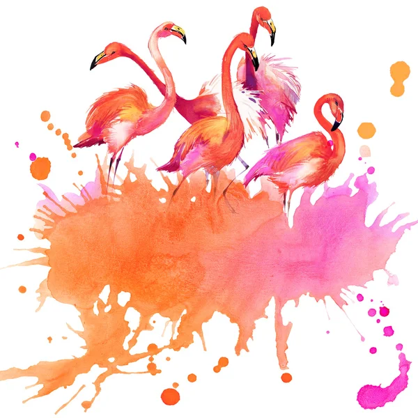 Акварель птицы фламинго — стоковое фото