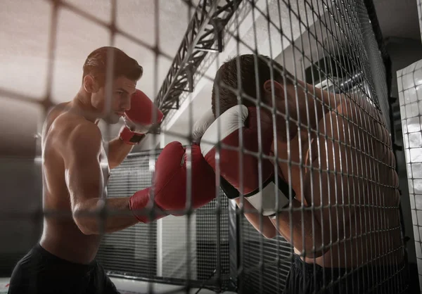 Две сильные боксеры, бои в тренажерный зал — стоковое фото