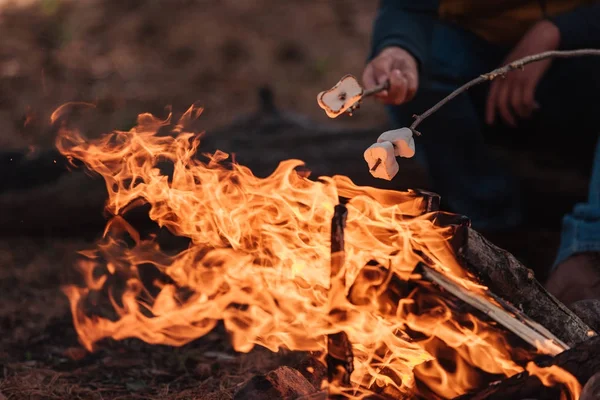 Cooking marshmallows on bonfire — стоковое фото