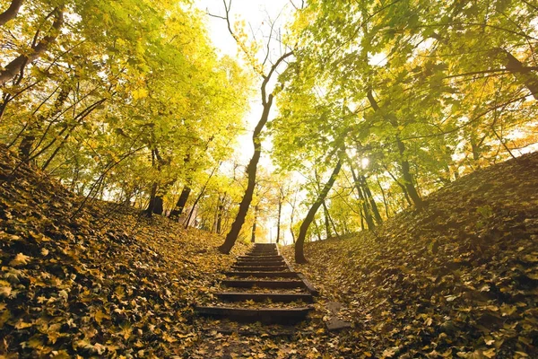 Лестницы в Осенний парк — стоковое фото