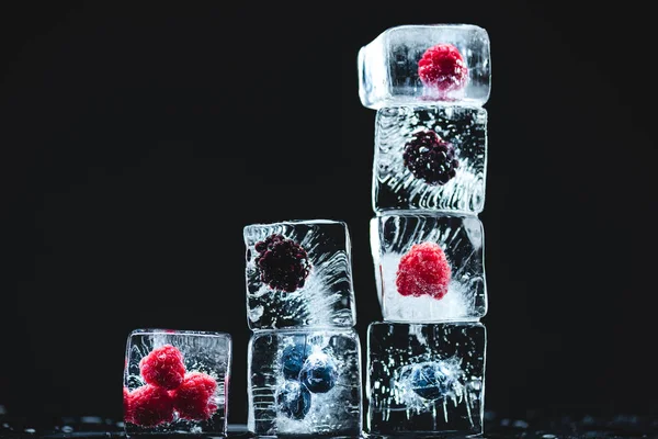 Фрукты замороженные в кубики льда Стоковое Изображение