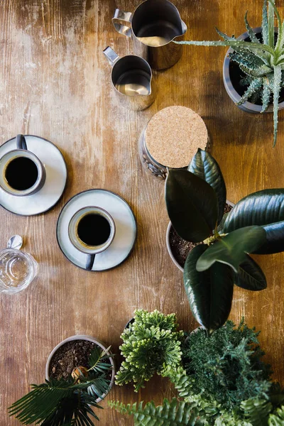 Две Чашки Черного Кофе Столе Растениями Кафе — стоковое фото