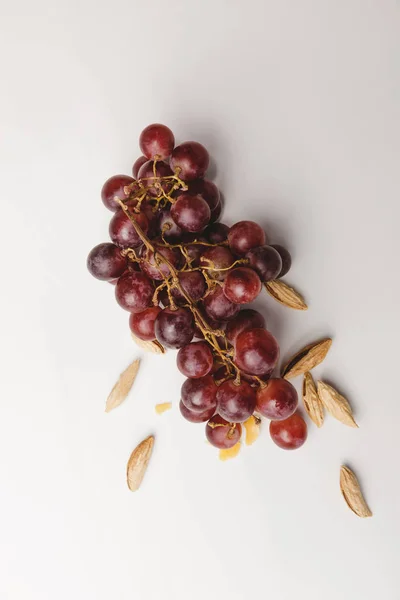 Top View Grapes Almond White — стоковое фото