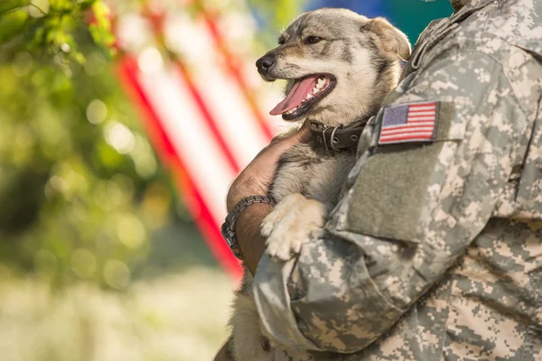 Солдат с военных собак на улице в Солнечный день Лицензионные Стоковые Фото