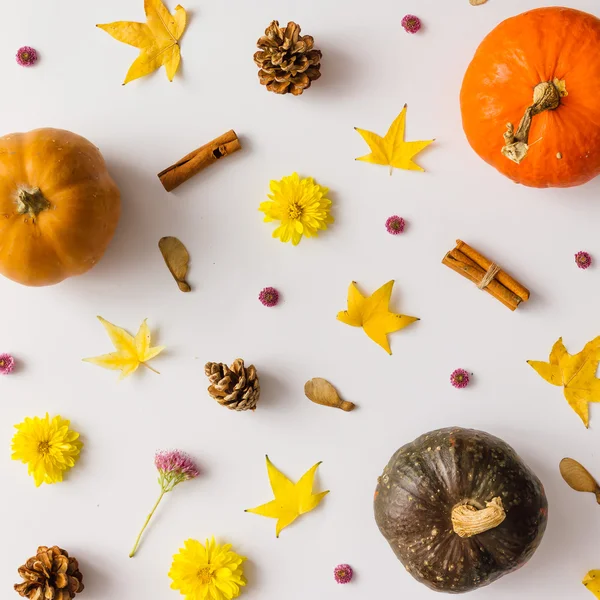Красочный Осенний узор из тыквы, листья и цветы — стоковое фото