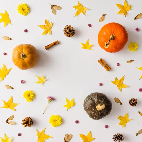Красочный Осенний узор из тыквы, листья и цветы — стоковое фото