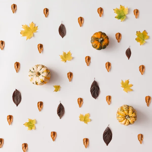 Осенние листья шаблон с тыквами — стоковое фото