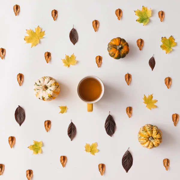 Осенние листья, тыквы, чашка кофе — стоковое фото