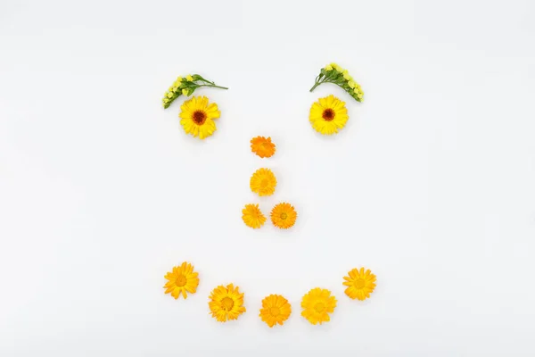 Улыбающееся лицо, сделаны с цветами Стоковое Фото