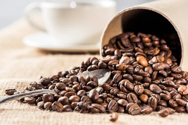 Ароматические кофейные зерна — стоковое фото