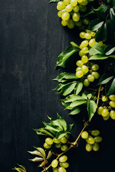 Top View Fresh Ripe White Grapes Green Leaves Black Wooden — стоковое фото