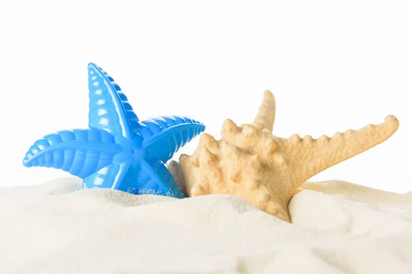 Игрушка Реального Морская Звезда Песке Изолированные Белом Стоковое Фото