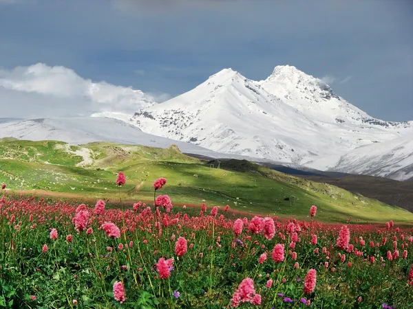 Горы Кавказа — стоковое фото