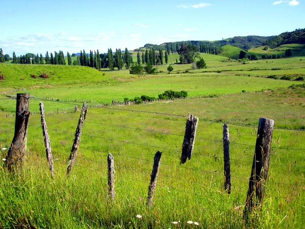 Забор и сельскохозяйственные угодья, Вайтомо, nz — стоковое фото