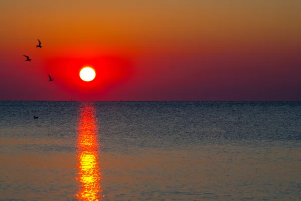 Восход солнца по воде — стоковое фото
