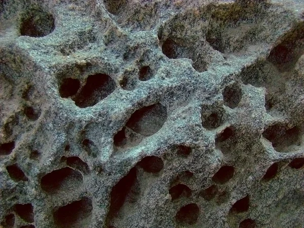 Каменные метеорит — стоковое фото