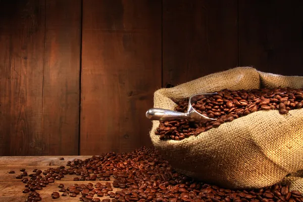 Burlap мешок кофейных зерен против темного дерева — стоковое фото