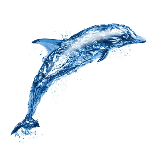 Дельфин прыжки воды — стоковое фото