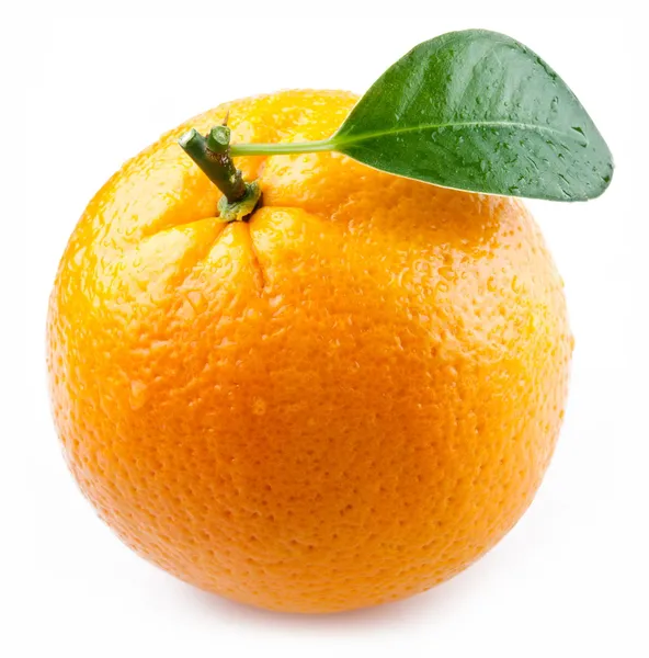Изображения спелых апельсина на белом фоне — стоковое фото