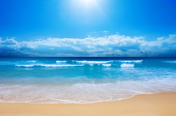 Пляж рая — стоковое фото