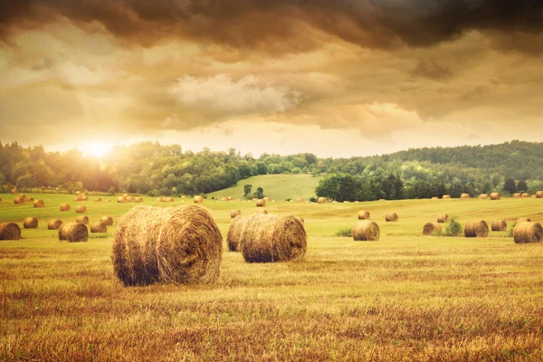 Область недавно товаров сена с красивым закатом — стоковое фото