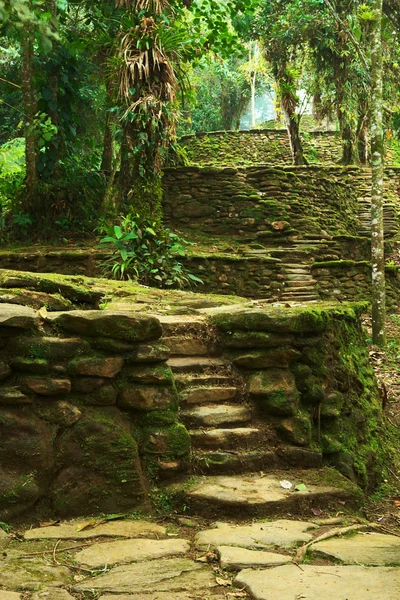 Каменные лестницы и террасы в Сьюдад-Пердида, Колумбия — стоковое фото