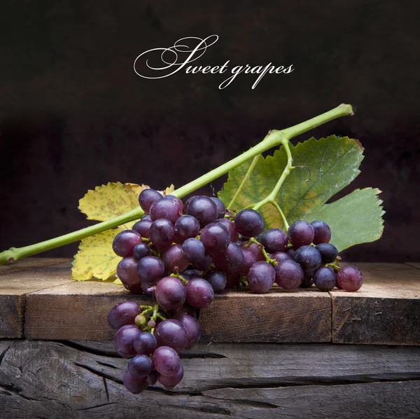 Искусство фиолетового винограда на старых деревянных фоне — стоковое фото