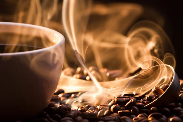Странные Золотой дыма, унося семена кофе — стоковое фото