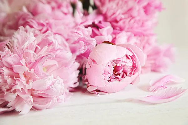 Розовые цветы пиона на деревянной поверхности — стоковое фото