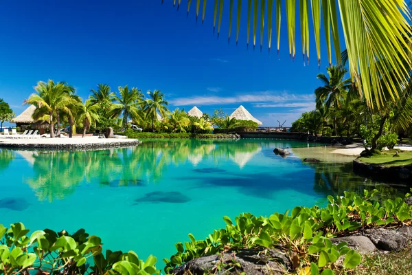 Тропический курорт с зеленой лагуной и пальмами — стоковое фото