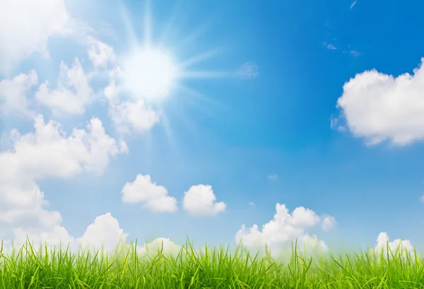 Свежий весенний зеленой травы и голубое небо — стоковое фото