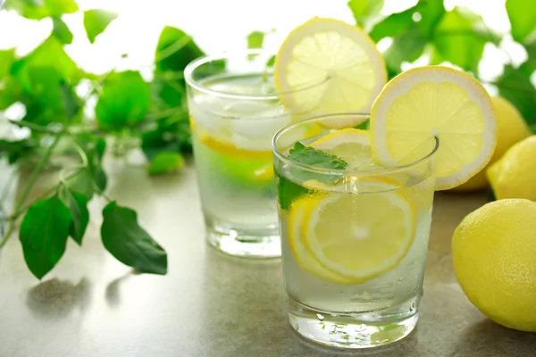 Лимонная вода Лицензионные Стоковые Изображения