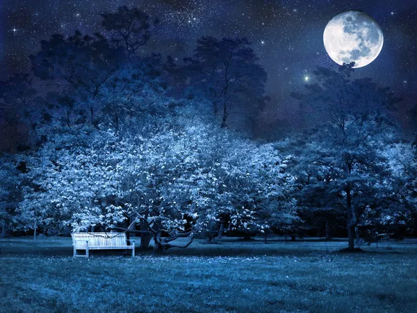 Ночь в период полнолуния в парке — стоковое фото