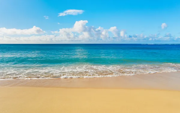 Пляж и тропическое море Стоковое Фото